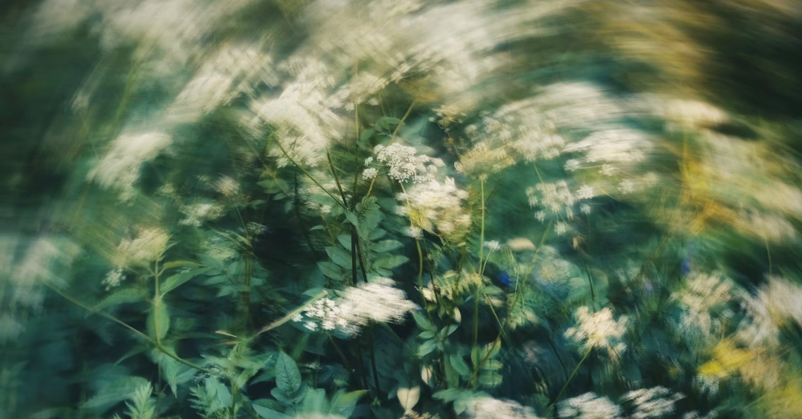 A meadow in bloom, generated and upscaled